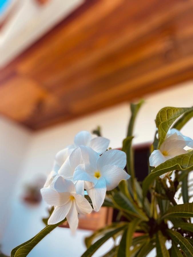 Beach Eco Stays Hotel Boutique Lagoinha Paraipaba Exteriér fotografie